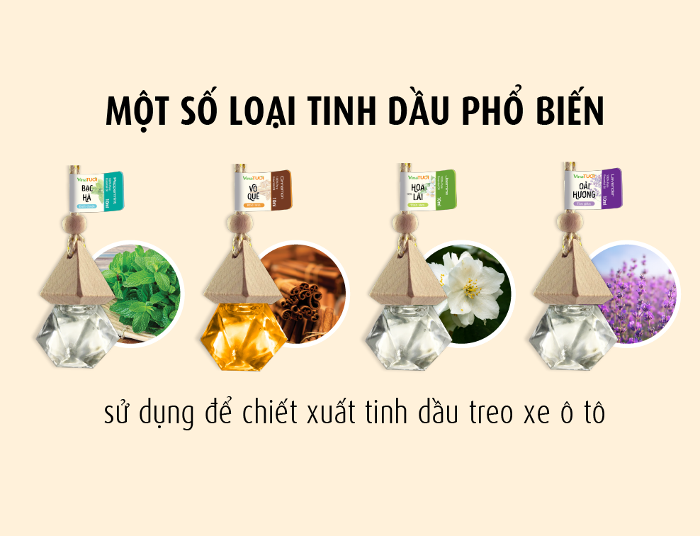 Một số loại tinh dầu phổ biến chiết xuất tinh dầu treo xe ô tô