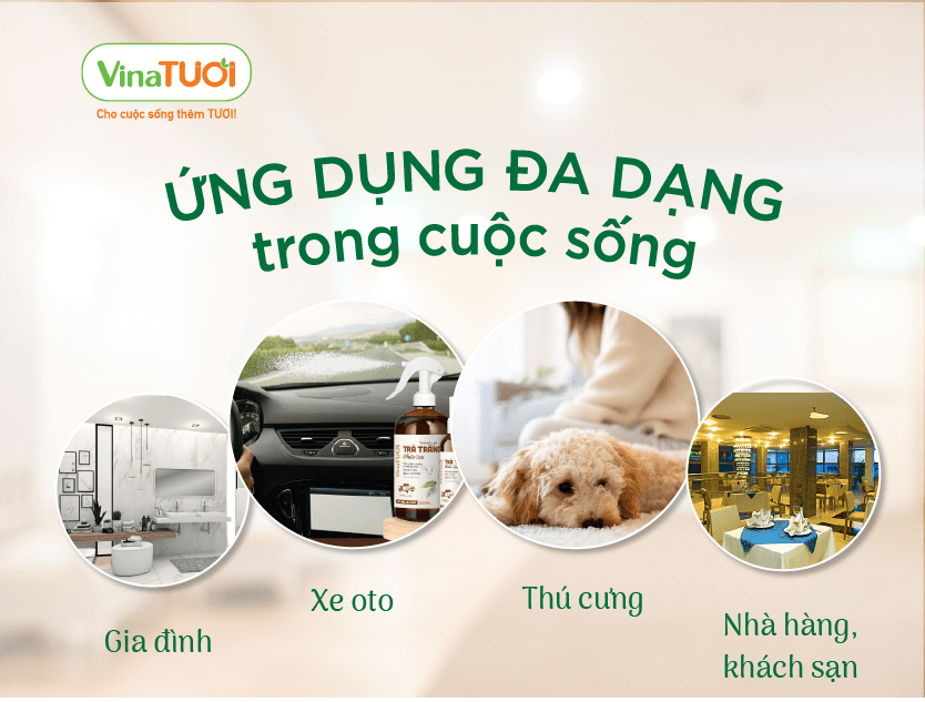 Ứng dụng đa dạng trong cuộc sống