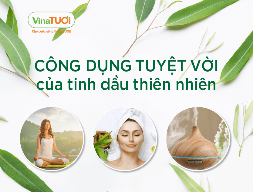 Công dụng tuyệt vời của tinh dầu thiên nhiên