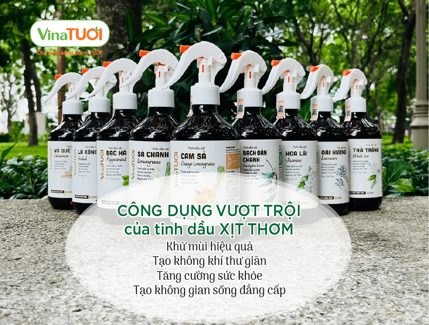 Công dụng vượt trội của tinh dầu xịt thơm