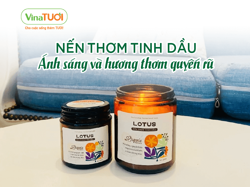 Nến Thơm Tinh Dầu – Ánh Sáng Và Hương Thơm Quyến Rũ