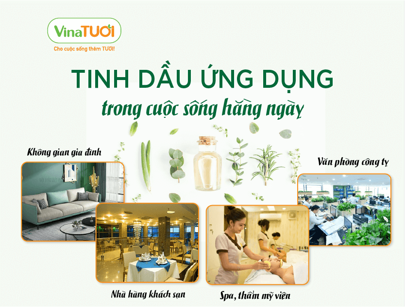 Tinh dầu ứng dụng trong cuộc sống