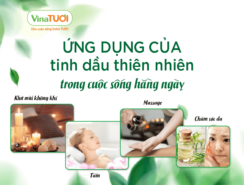 Ứng dụng của tinh dầu thiên nhiên trong cuộc sống hằng ngày