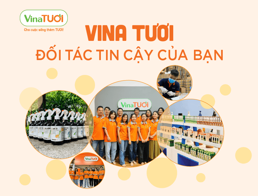 Vina Tươi - Đối tác tin cậy của bạn