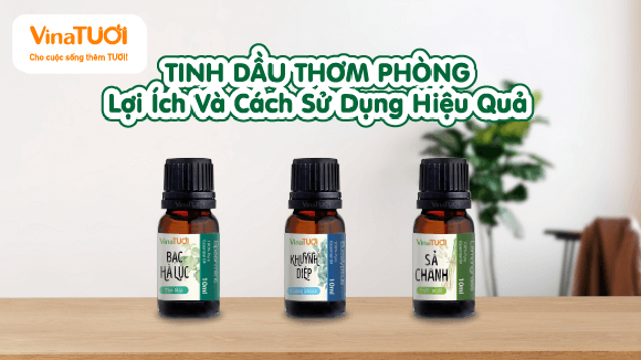 Tinh Dầu Thơm: Lợi Ích Và Cách Sử Dụng Hiệu Quả.