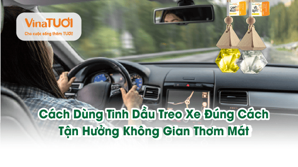 Cách dùng tinh dầu treo xe đúng cách: tận hưởng không gian thơm mát