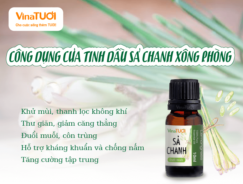 Công Dụng Của Tinh Dầu Sả Chanh Xông Phòng