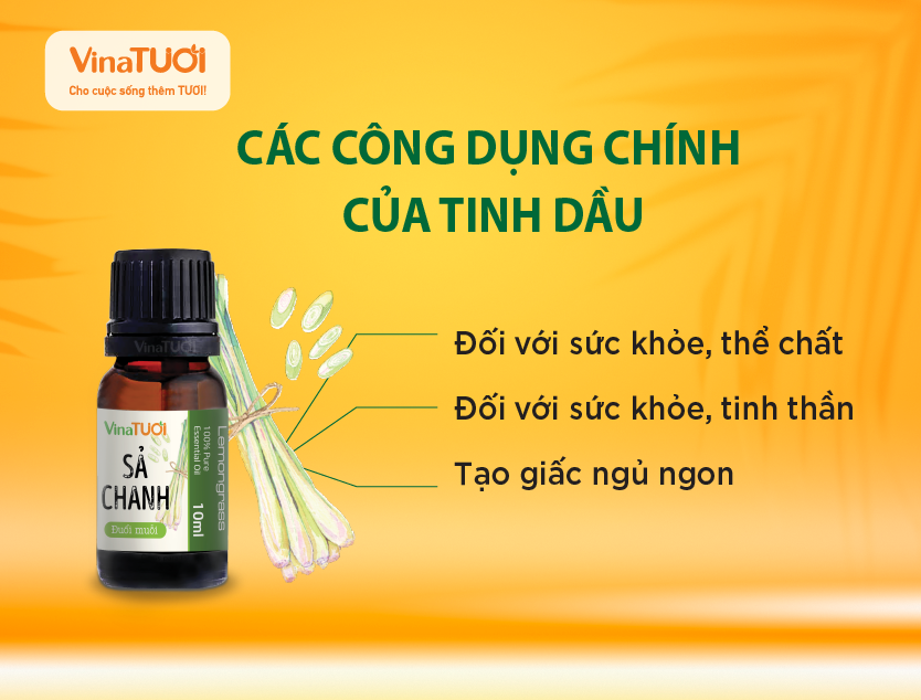 Các công dụng của tinh dầu