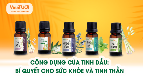 Công dụng của tinh dầu: Bí quyết cho sức khỏe và tinh thần