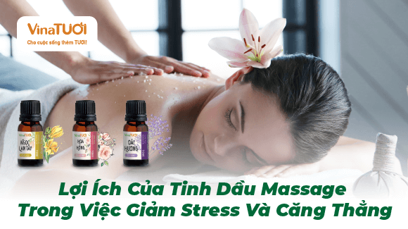 Lợi Ích Của Tinh Dầu Massage Trong Việc Giảm Stress Và Căng Thẳng