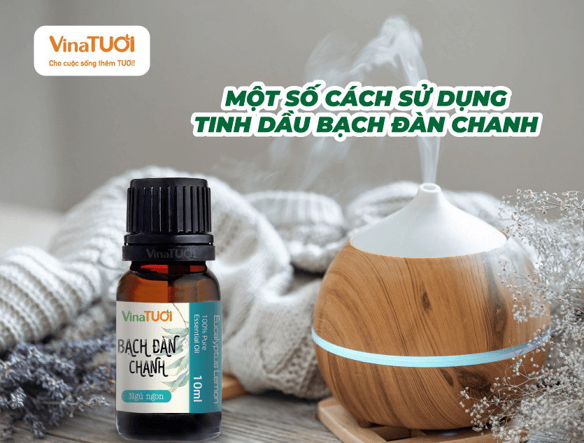 Một Số Cách Sử Dụng Tinh Dầu Bạch Đàn Chanh Hiệu Quả