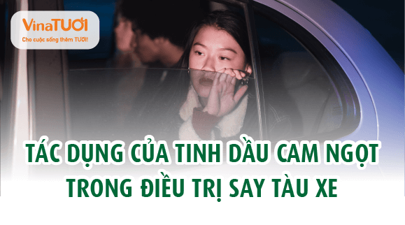 Tác dụng của tinh dầu cam ngọt trong điều trị say tàu xe