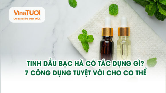 Tinh dầu bạc hà có tác dụng gì? 7 công dụng tuyệt vời cho cơ thể