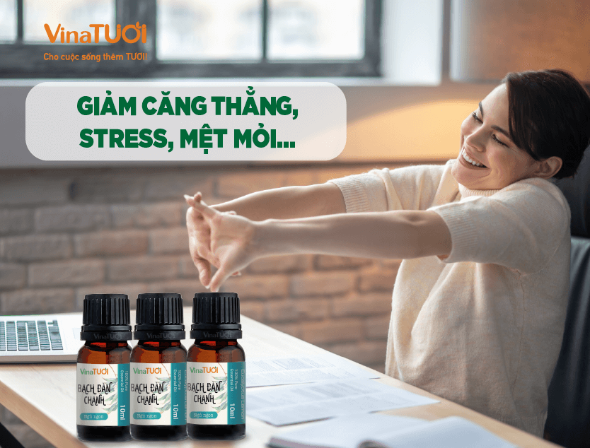 Tinh Dầu Bạch Đàn Chanh Giúp Giảm Căng Thẳng Và Mệt Mỏi