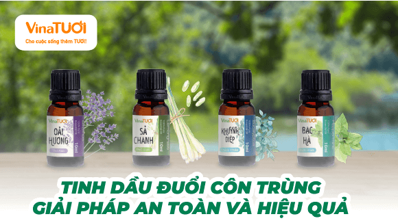 Tinh Dầu Đuổi Côn Trùng: Giải Pháp An Toàn Và Hiệu Quả