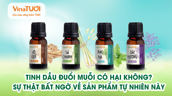 Tinh dầu đuổi muỗi có hại không? Sự thật bất ngờ về sản phẩm tự nhiên này