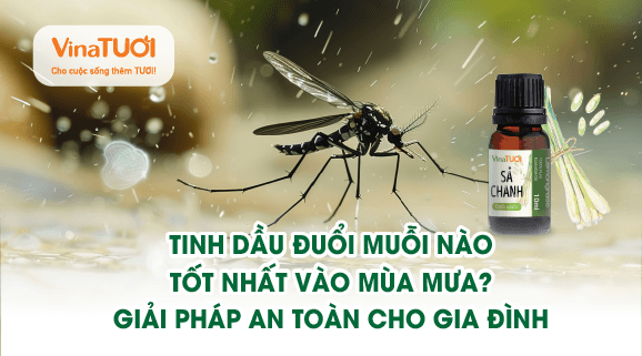 Tinh dầu đuổi muỗi nào tốt nhất vào mùa mưa? Giải pháp an toàn cho gia đình