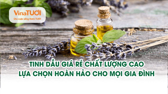 Tinh dầu giá rẻ chất lượng cao: Lựa chọn hoàn hảo cho mọi gia đình