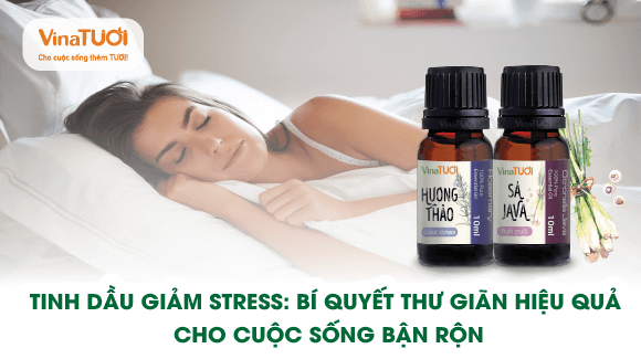 Tinh dầu giảm stress: Bí quyết thư giãn hiệu quả cho cuộc sống bận rộn