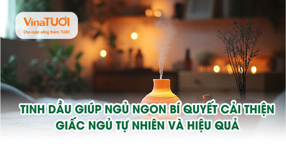 Tinh dầu giúp ngủ ngon: Bí quyết cải thiện giấc ngủ tự nhiên và hiệu quả