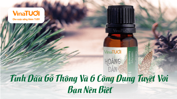 Tinh Dầu Gỗ Thông Và 6 Công Dụng Tuyệt Vời Bạn Nên Biết