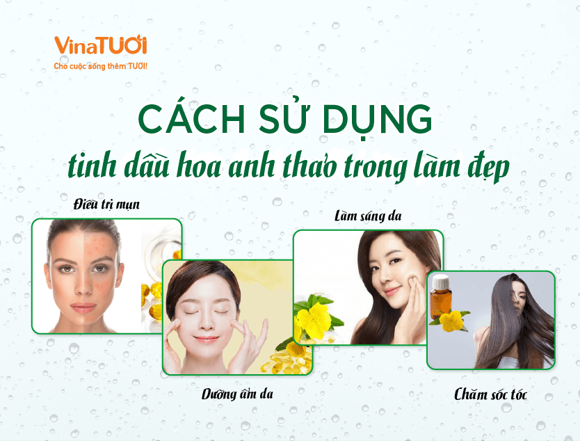 Cách sử dụng tinh dầu hoa anh thảo trong làm đẹp