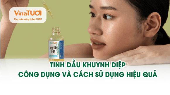 Tinh dầu khuynh diệp: công dụng và cách sử dụng hiệu quả