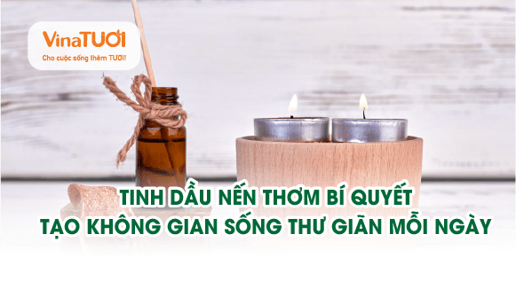 Tinh dầu nến thơm: Bí quyết tạo không gian sống thư giãn mỗi ngày