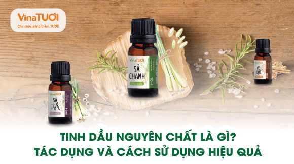 Tinh dầu nguyên chất là gì? Tác dụng và cách sử dụng hiệu quả