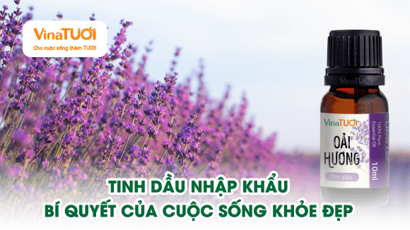 Tinh Dầu Nhập Khẩu: Bí Quyết Của Cuộc Sống Khỏe Đẹp