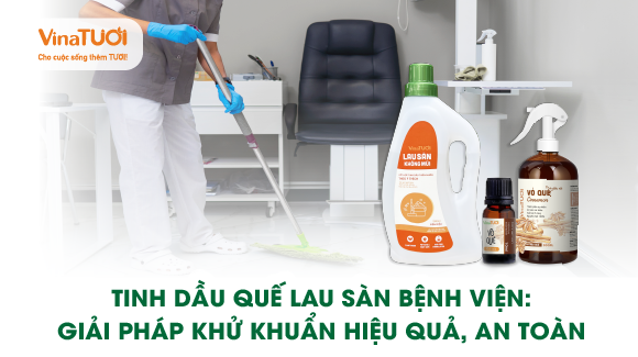 Tinh dầu quế lau sàn bệnh viện: Giải pháp khử khuẩn hiệu quả, an toàn