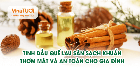 Tinh dầu quế lau sàn - Sạch khuẩn, thơm mát & an toàn cho gia đình