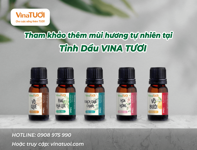 Tinh Dầu Thiên Nhiên Vina Tươi