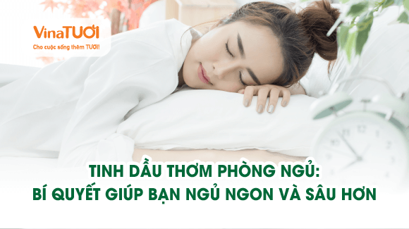 Tinh dầu thơm phòng ngủ: Bí quyết giúp bạn ngủ ngon và sâu hơn