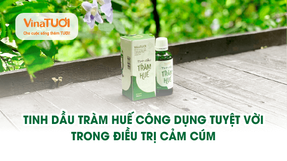 Tinh dầu tràm Huế: Công dụng tuyệt vời trong điều trị cảm cúm