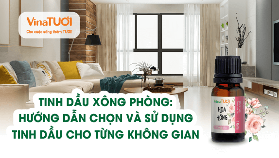 Tinh dầu xông phòng: Hướng dẫn chọn và sử dụng tinh dầu cho từng không gian