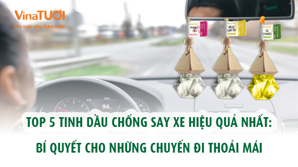 Top 5 tinh dầu chống say xe hiệu quả nhất bí quyết cho những chuyến đi thoải mái