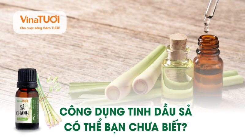 công dụng tinh dầu sả