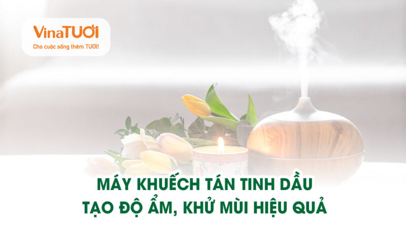 Máy khuếch tán tinh dầu