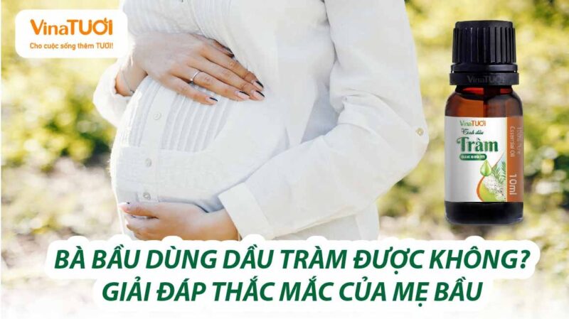 Bà bầu dùng dầu tràm được không? Giải đáp thắc mắc của mẹ bầu