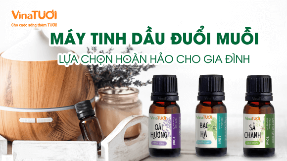 Máy Tinh Dầu Đuổi Muỗi: Lựa Chọn Hoàn Hảo Cho Gia Đình