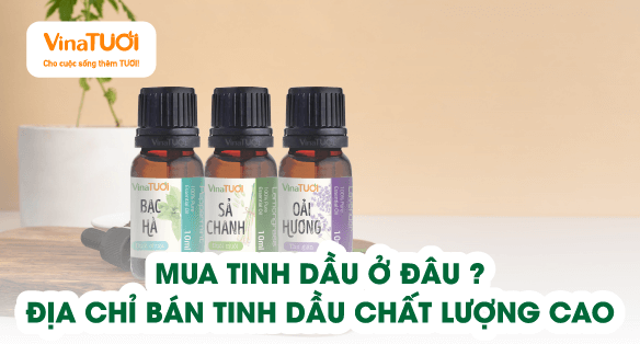 Mua Tinh Dầu Ở Đâu? Địa Chỉ Bán Tinh Dầu Chất Lượng Cao