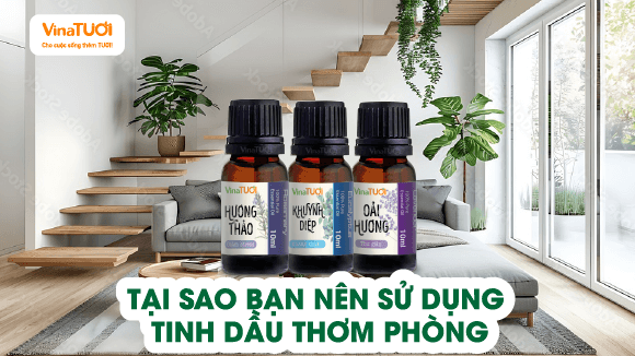 Tại Sao Bạn Nên Sử Dụng Tinh Dầu Thơm Phòng?