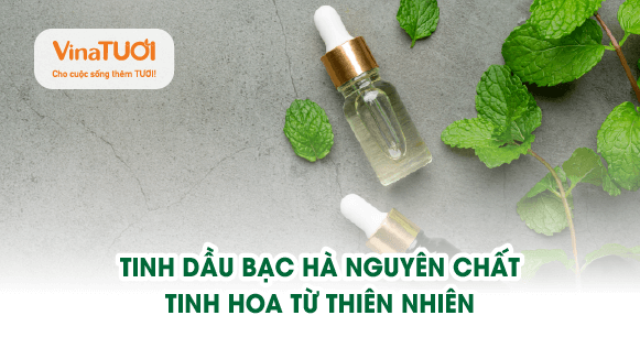 Tinh dầu bạc hà nguyên chất: Tinh hoa từ thiên nhiên