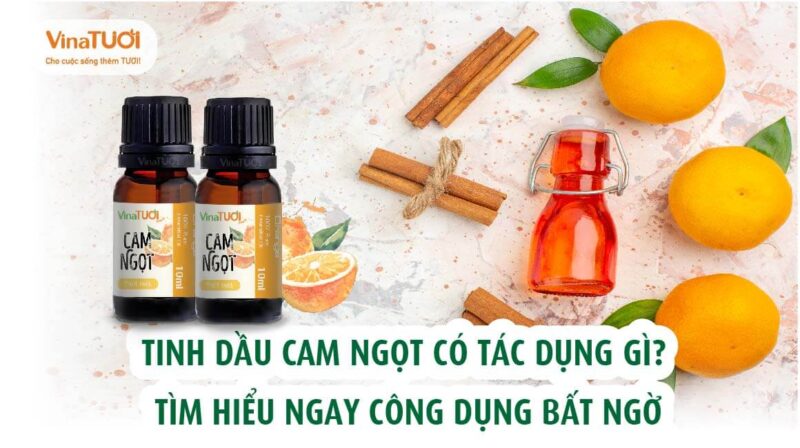 Tinh dầu cam ngọt có tác dụng gì? Tìm hiểu ngay công dụng bất ngờ