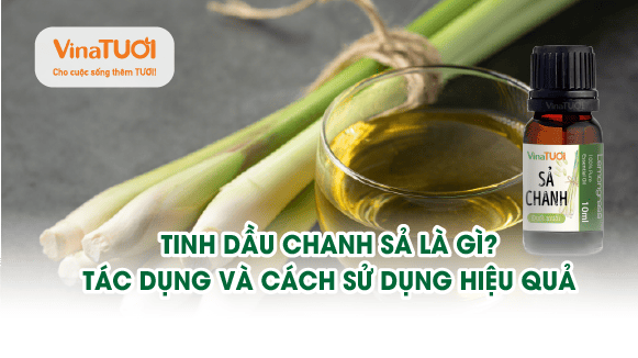 Tinh dầu chanh sả là gì? Tác dụng và cách sử dụng hiệu quả