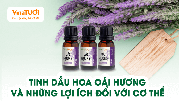 Tinh Dầu Hoa Oải Hương Và Những Lợi Ích Đối Với Cơ Thể