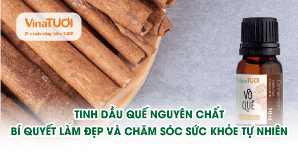 Tinh dầu quế nguyên chất: bí quyết làm đẹp và chăm sóc sức khỏe tự nhiên