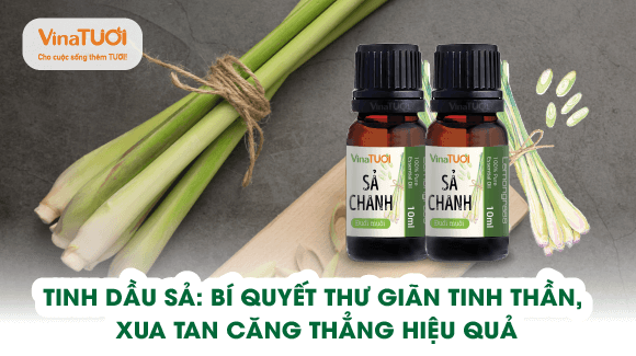 Tinh dầu sả: Bí quyết thư giãn tinh thần, xua tan căng thẳng hiệu quả