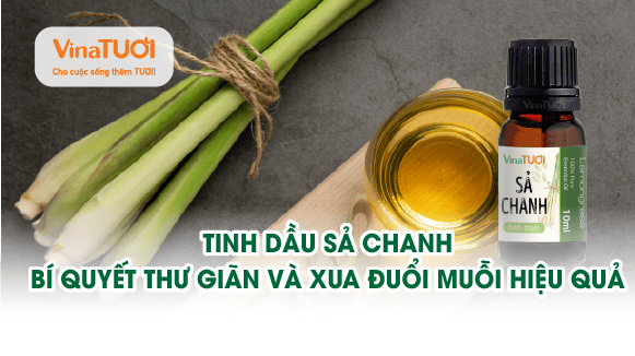 Tinh dầu sả chanh: bí quyết thư giãn và xua đuổi muỗi hiệu quả